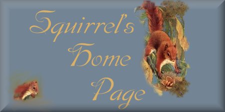 Squirrel's Home Page
